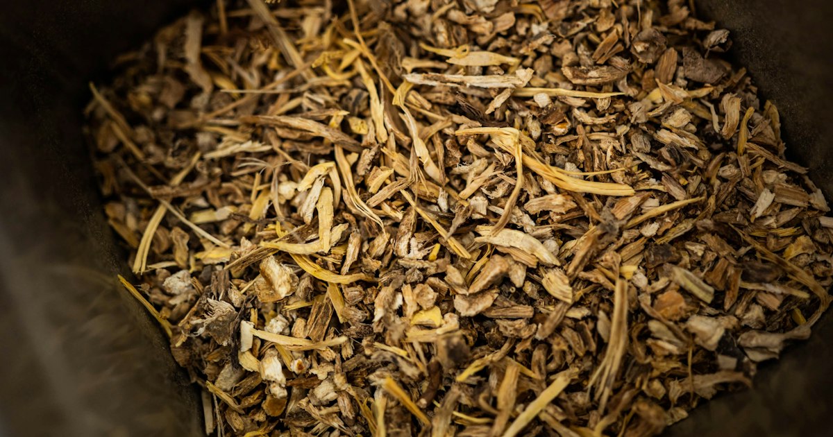 Ashwagandha or Rhodiola: What's the Difference
