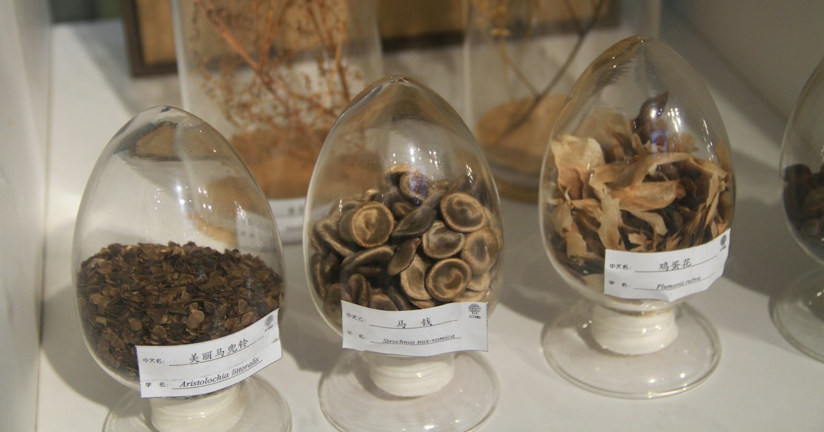 Tongkat Ali or Tribulus: What's the Difference